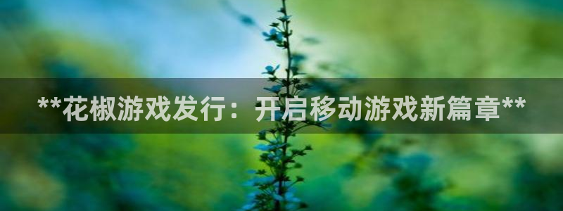 顺盈娱乐官网首页登录