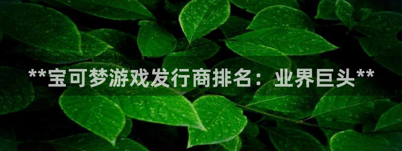 顺盈娱乐平台注册流程视频教程：**宝可梦游戏发行商排名：业界巨头**