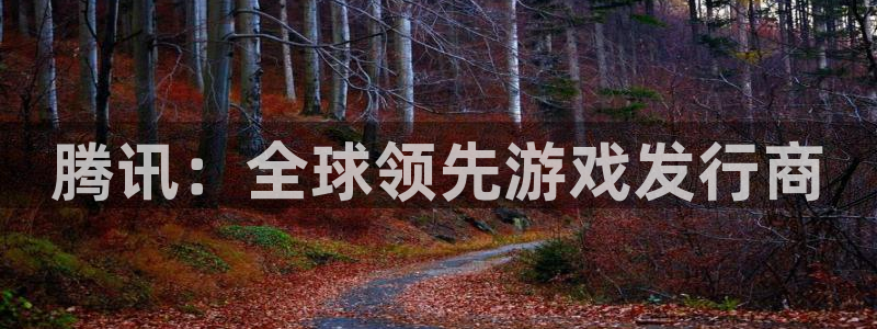 顺盈娱乐官网首页登录网址：腾讯：全球领先游戏发行商