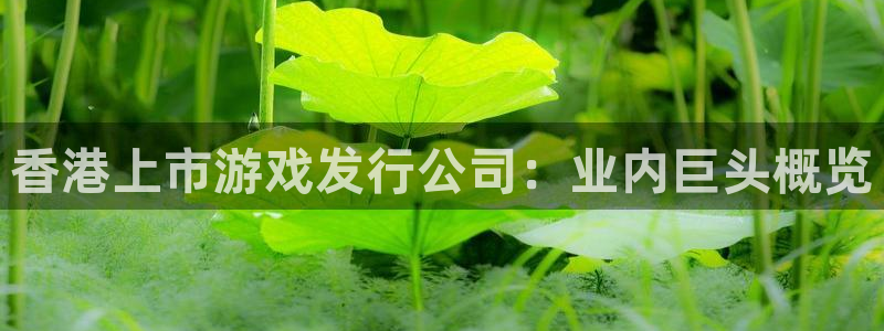 顺盈电子：香港上市游戏发行公司：业内巨头概览