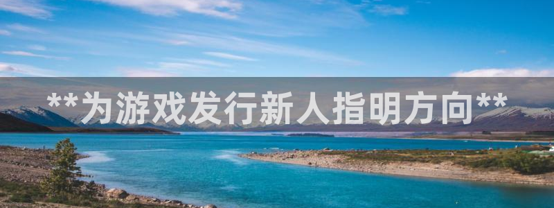 顺盈娱乐平台注册流程图片大全：**为游戏发行新人指明方向**
