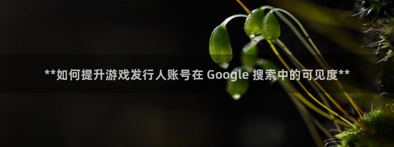顺盈娱乐登录平台：**如何提升游戏发行人账号在 Google 搜索中的可见度**