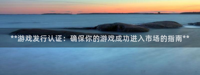 顺盈娱乐的员工待遇怎么样啊：**游戏发行认证：确保你的游戏成功进入市场的指南**