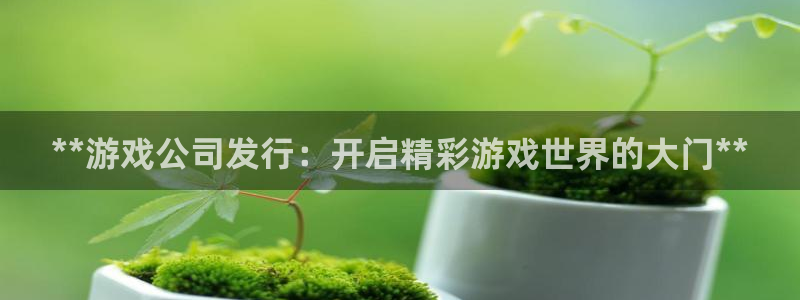 顺盈娱乐平台注册流程图片下载：**游戏公司发行：开启精彩游戏世界的大门**