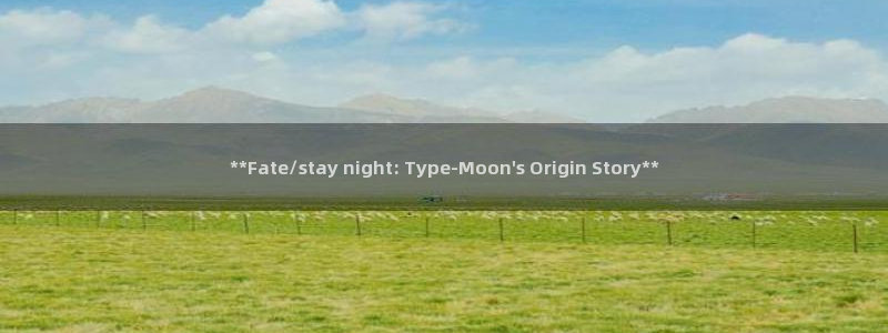 顺盈平台注册网址是什么：**Fate/stay night: Type-Moon\'s Origin Story**
