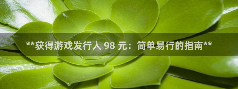 顺盈娱乐平台注册流程图片大全：**获得游戏发行人 98 元：简单易行的指南**