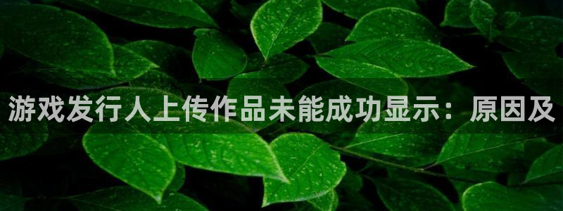 顺盈娱乐官网首页登录网站：游戏发行人上传作品未能成功显示：原因及