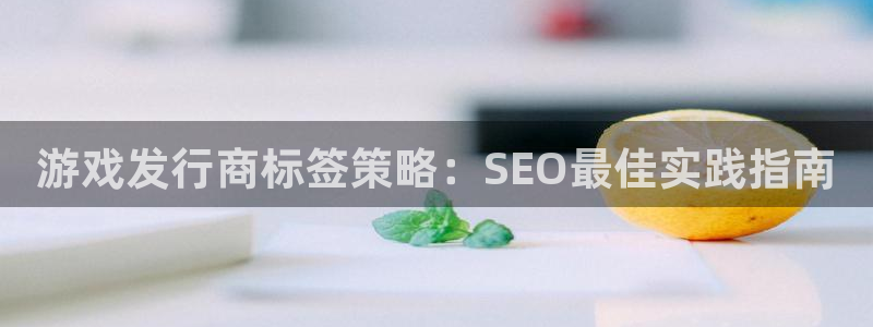 顺盈娱乐用什么加速器可以登录账号：游戏发行商标签策略：SEO最佳实践指南