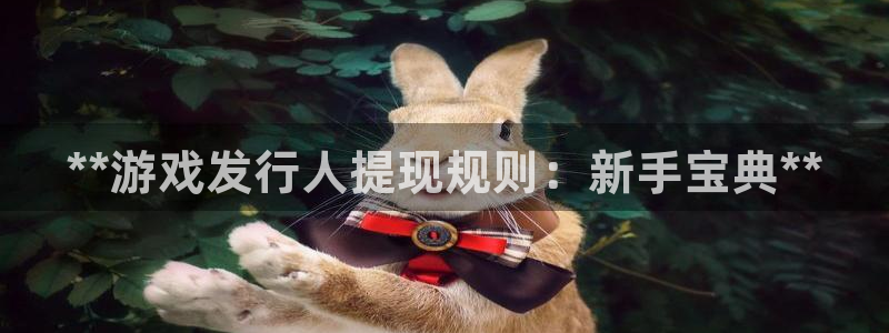 顺盈娱乐扣款成功了吗怎么退款：**游戏发行人提现规则：新手宝典**