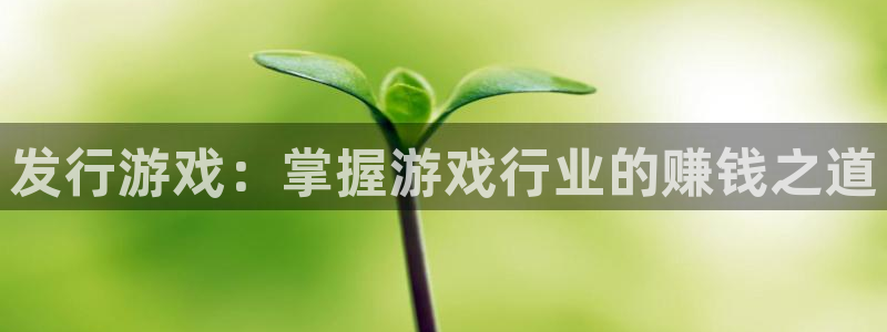 顺盈娱乐领导联系方式：发行游戏：掌握游戏行业的赚钱之道