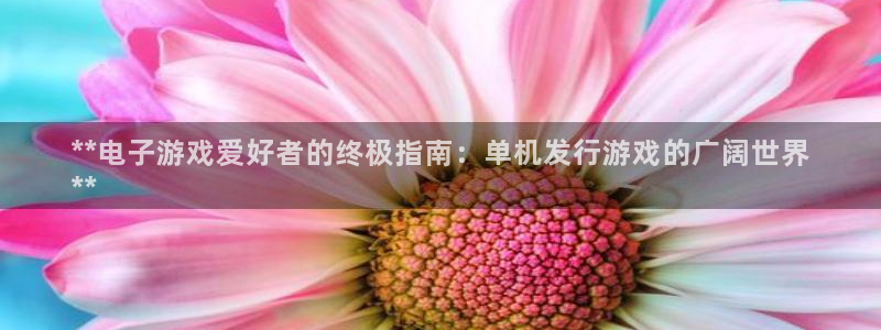 顺盈娱乐公司介绍图片：**电子游戏爱好者的终极指南：单机发行游戏的广阔世界
**