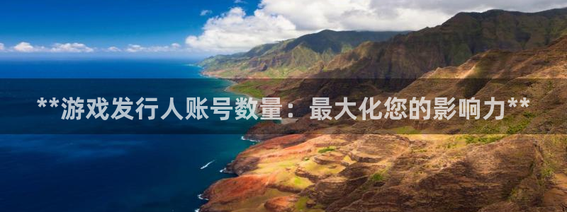 顺赢国际游戏：**游戏发行人账号数量：最大化您的影响力**