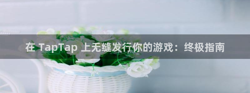 顺盈电子：在 TapTap 上无缝发行你的游戏：终极指南