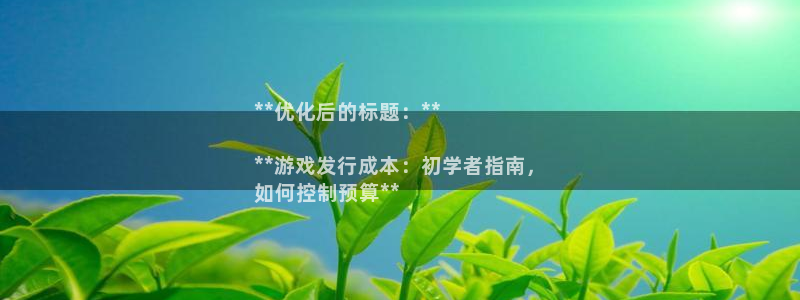 顺盈娱乐官网首页入口网站：**优化后的标题：**

**游戏发行成本：初学者指南，
如何控制预算**