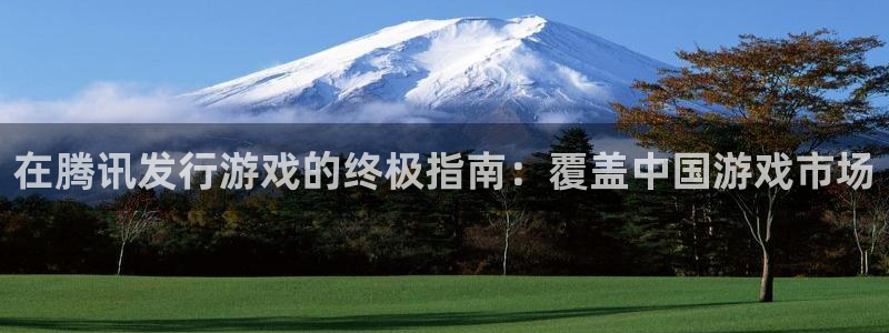 顺盈娱乐扣款成功了吗怎么退款：在腾讯发行游戏的终极指南：覆盖中国游戏市场