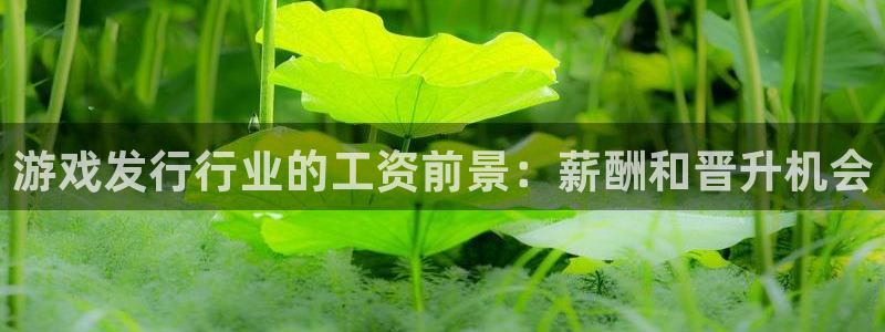 顺盈娱乐龙虎和平台：游戏发行行业的工资前景：薪酬和晋升机会