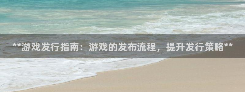 顺盈平台注册资金多少钱：**游戏发行指南：游戏的发布流程，提升发行策略**