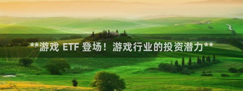 顺盈平台登录入口：**游戏 ETF 登场！游戏行业的投资潜力**