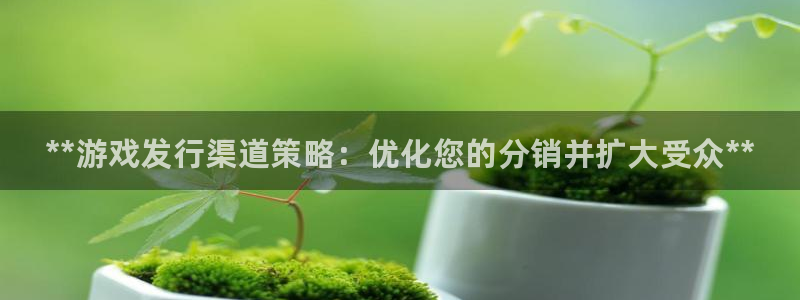顺盈app是什么东西：**游戏发行渠道策略：优化您的分销并扩大受众**