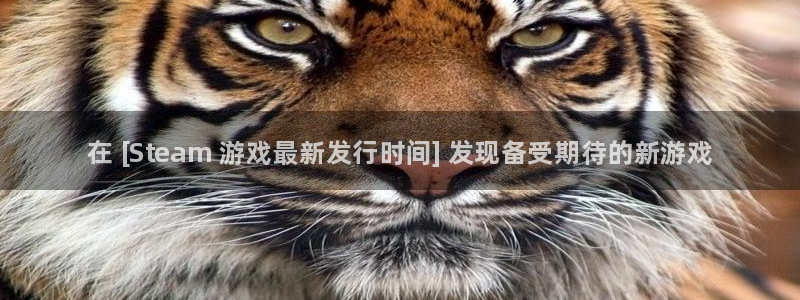顺盈娱乐官网首页网址查询：在 [Steam 游戏最新发行时间] 发现备受期待的新游戏
