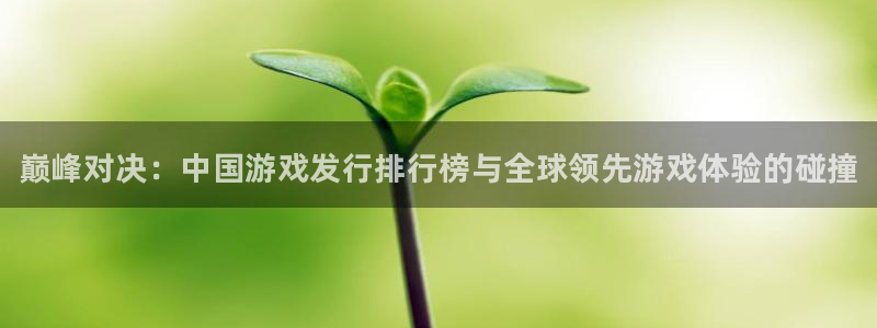 顺盈平台注册地址在哪里