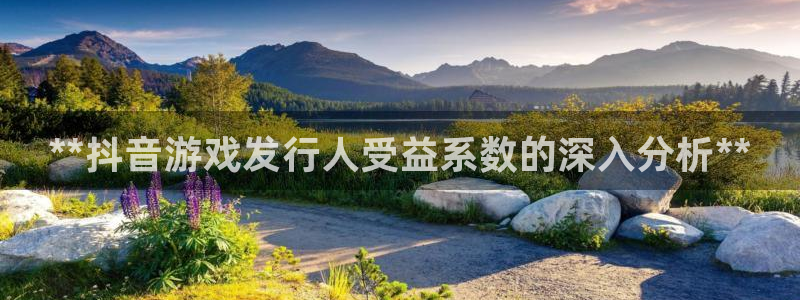 顺盈娱乐平台注册流程图片高清：**抖音游戏发行人受益系数的深入分析**