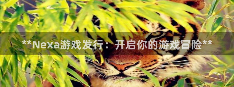 顺盈娱乐3.8.2.2.2.3安