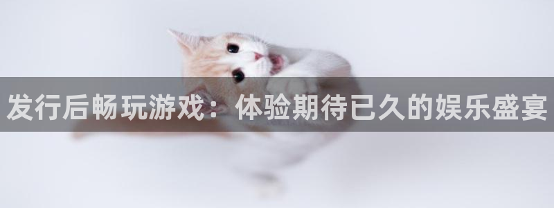 顺盈娱乐扣款成功了吗：发行后畅玩游戏：体验期待已久的娱乐盛宴