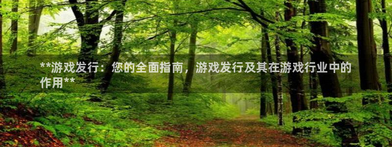 顺盈网络科技有限公司招聘