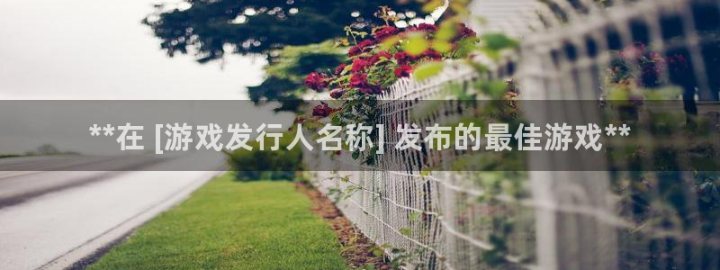 顺盈平台怎么样可靠吗：**在 [游戏发行人名称] 发布的最佳游戏**