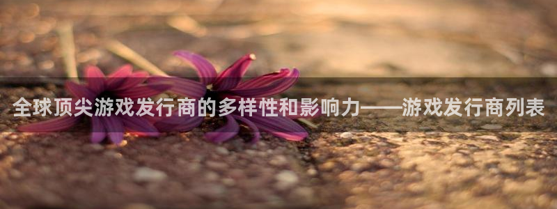 顺盈娱乐公司介绍：全球顶尖游戏发行商的多样性和影响力——游戏发行商列表