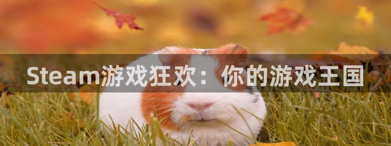 顺盈娱乐官网首页登录网址：Steam游戏狂欢：你的游戏王国
