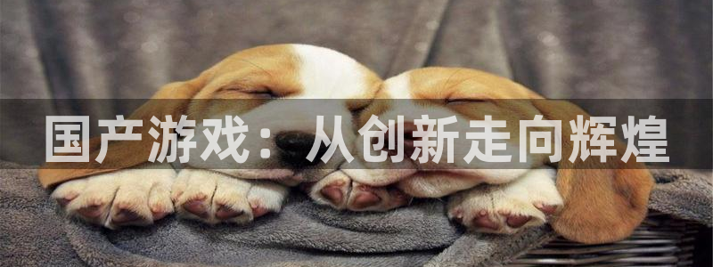 顺盈娱乐平台注册流程视频：国产游戏：从创新走向辉煌