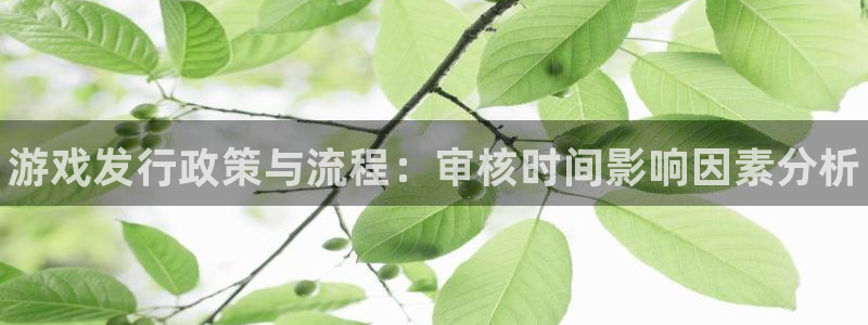 顺盈平台注册网址是什么：游戏发行政策与流程：审核时间影响因素分析