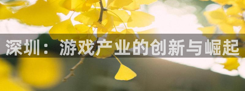 顺盈app是什么东西：深圳：游戏产业的创新与崛起