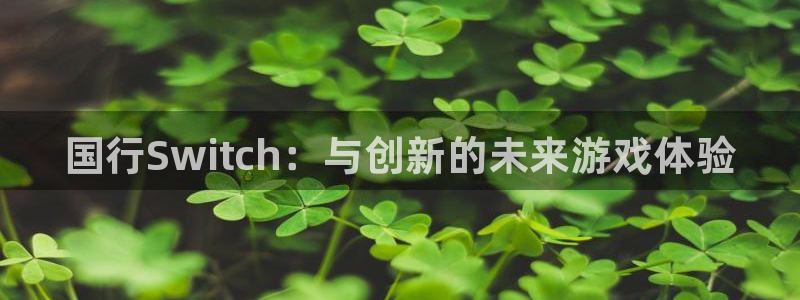 顺盈娱乐登录平台下载安装最新版：国行Switch：与创新的未来游戏体验