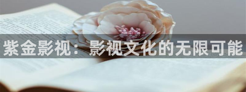 熊猫电影yy7y免费观看高清