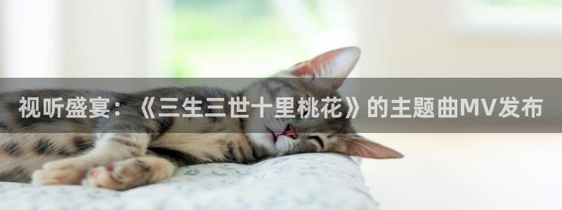 熊猫影院免费影院熊猫电影