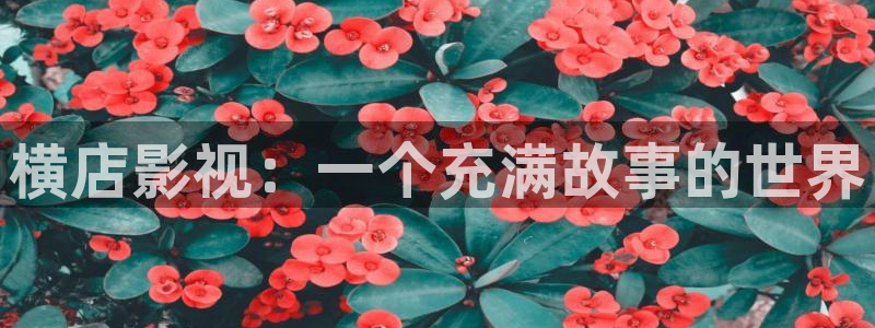 熊猫电视好么