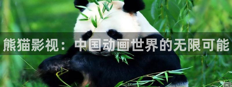 熊猫的
