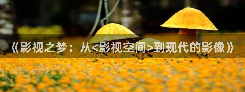 影视熊猫